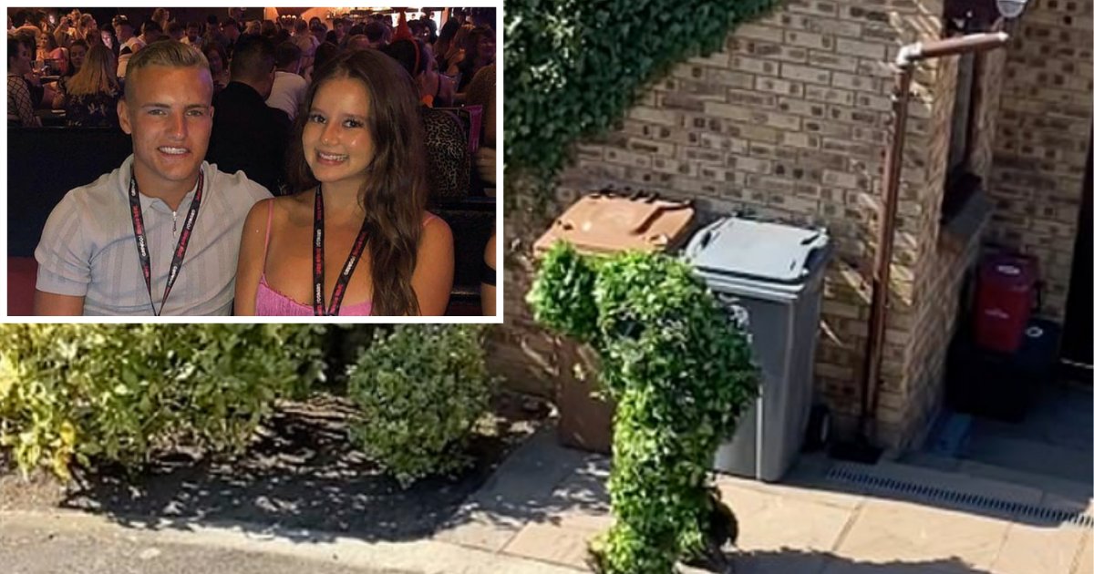 3 1.png?resize=412,275 - Couple Films Their Neighbor’s Hilarious Leafy Disguige To Remain Unnoticed During Quarantine