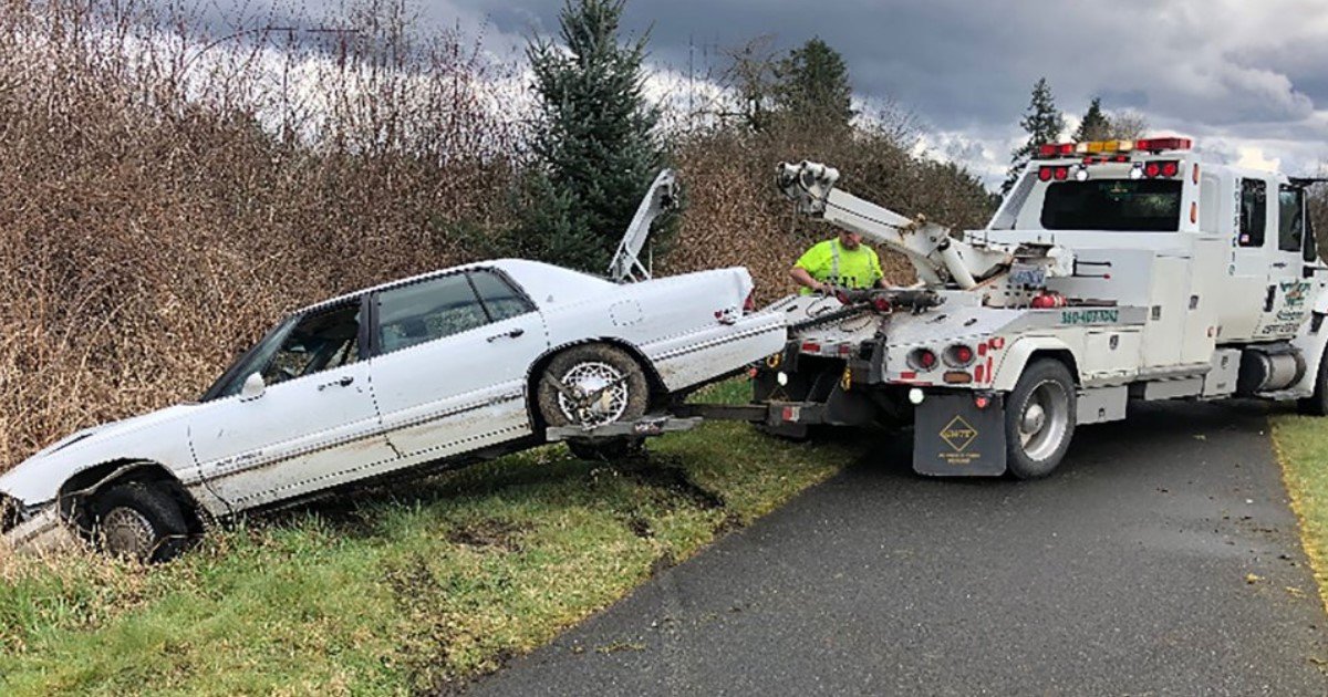 3 2.jpg?resize=412,275 - Cops Pulled Over A Car To Find A Pit Bull At The Wheel As The Owner Explained He Was 'Teaching' His Dog How To Drive