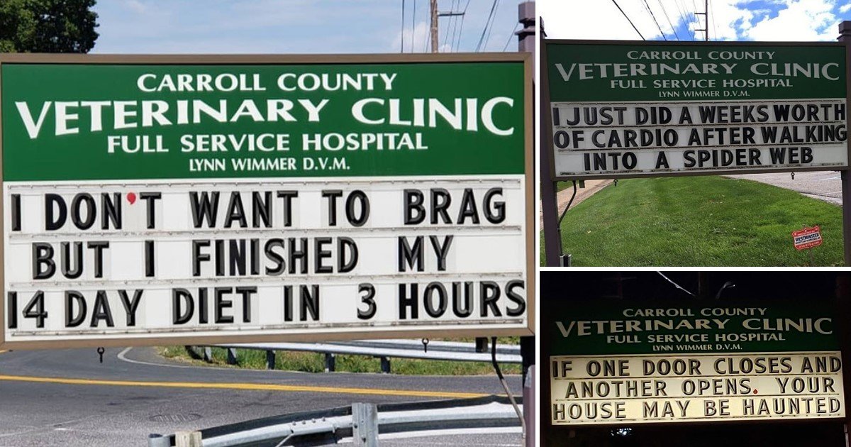 3 37.jpg?resize=1200,630 - A Veterinary Clinic Installed Funny Outdoor Signs To Relieve Distressed Visitors