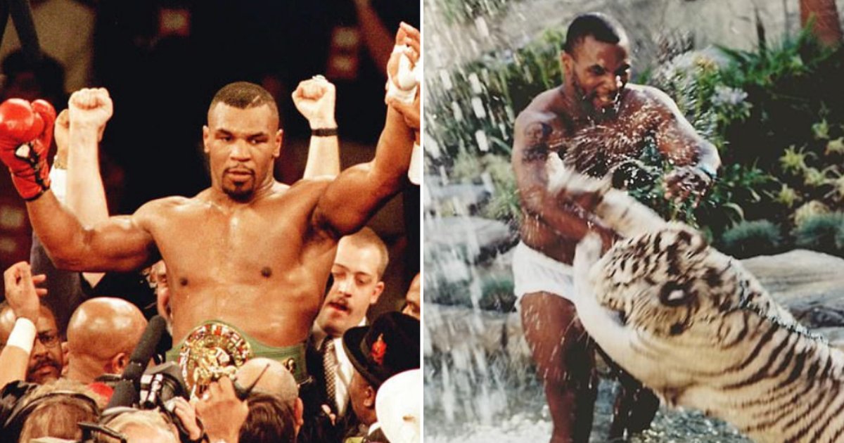 4 5.png?resize=1200,630 - Mike Tyson, The Former Tiger King Revealed That He Regrets Owning Two Predators as Pets