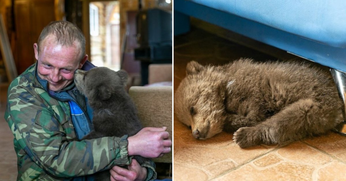 4 61.png?resize=1200,630 - Authorities Suggested Putting Bear Cub To Sleep But A Man Decided To Adopt It As His Pet