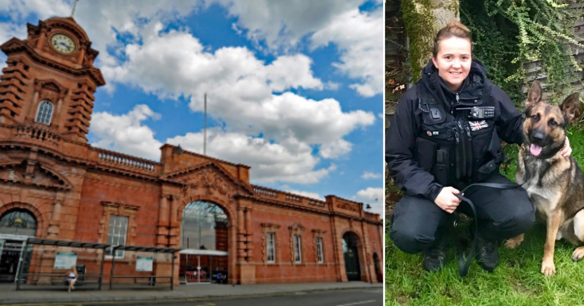 4 80.png?resize=412,275 - Policewoman And A Police Dog Were Assaulted By A Thug After They Questioned Him About His Travel Being Essential Or Not