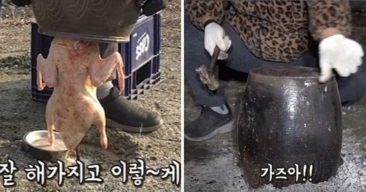 5 42.jpg?resize=1200,630 - 전설 아니고 레전드인 '오리' 항아리 구이 대참사 (영상)