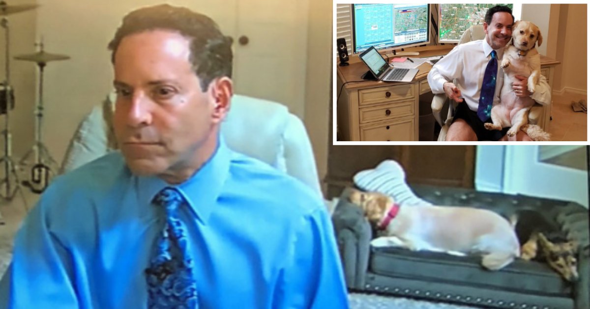 5 48.png?resize=1200,630 - People Are Loving How This Weatherman Has A Little Couch For His Dog