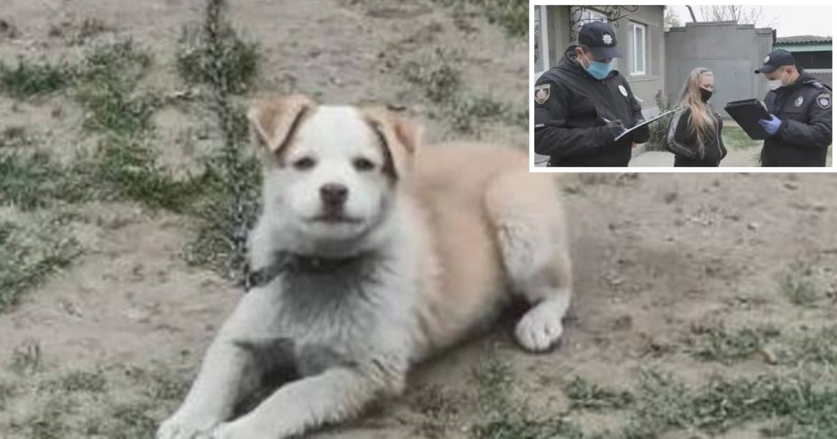 5 71.png?resize=412,232 - Teenager in Ukraine Was Arrested For Forcing Her Pup to Drink Vodka As a Part of an Internet Prank