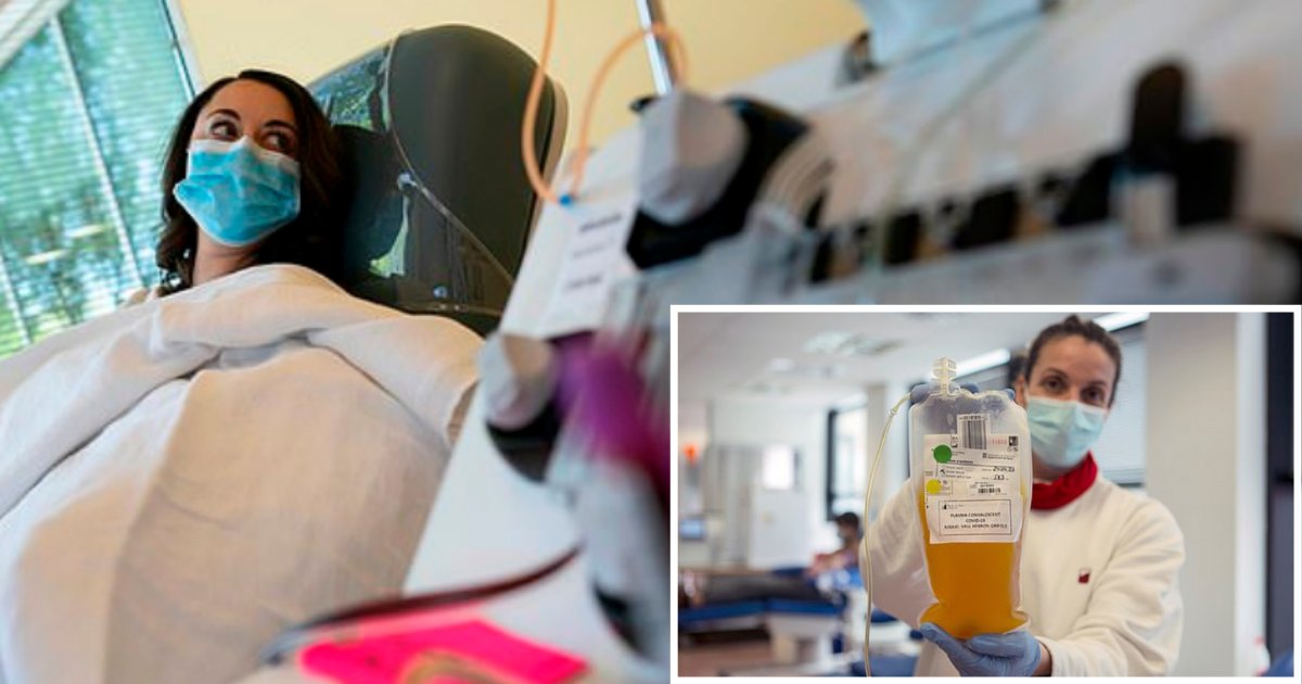 5 72.png?resize=412,275 - Convalescent Plasma Therapy Saved The Life Of A COVID-19 Patient Who Was Near Death