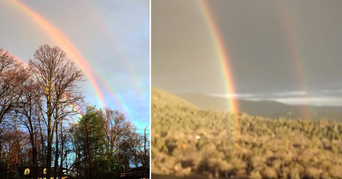 5 83.png?fit=1024%2C538&ssl=1&strip=all - The Rarest Quadruple Rainbow Spotted By A Woman in Long Island is Getting Viral