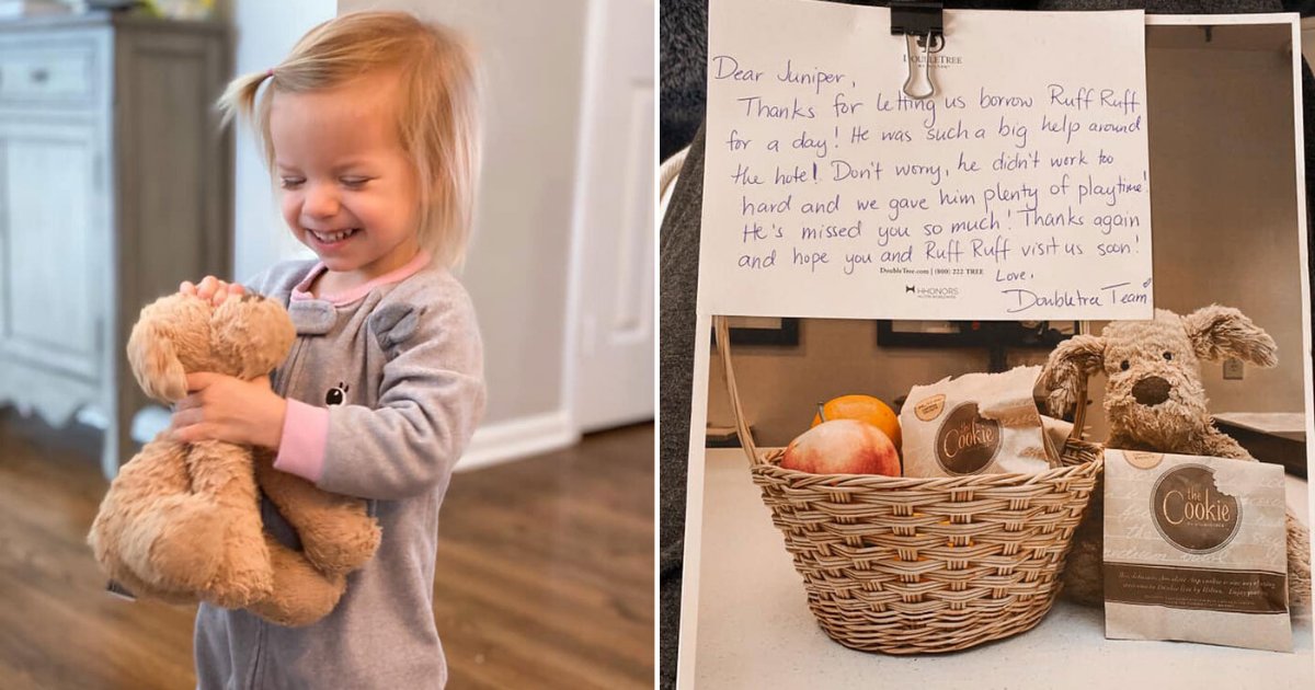 6 31.png?resize=412,232 - A 2-Year Old Girl Loses Her Favorite Stuffed Dog at The Hotel and The Staff Documented its Adventure Before Shipping it Back