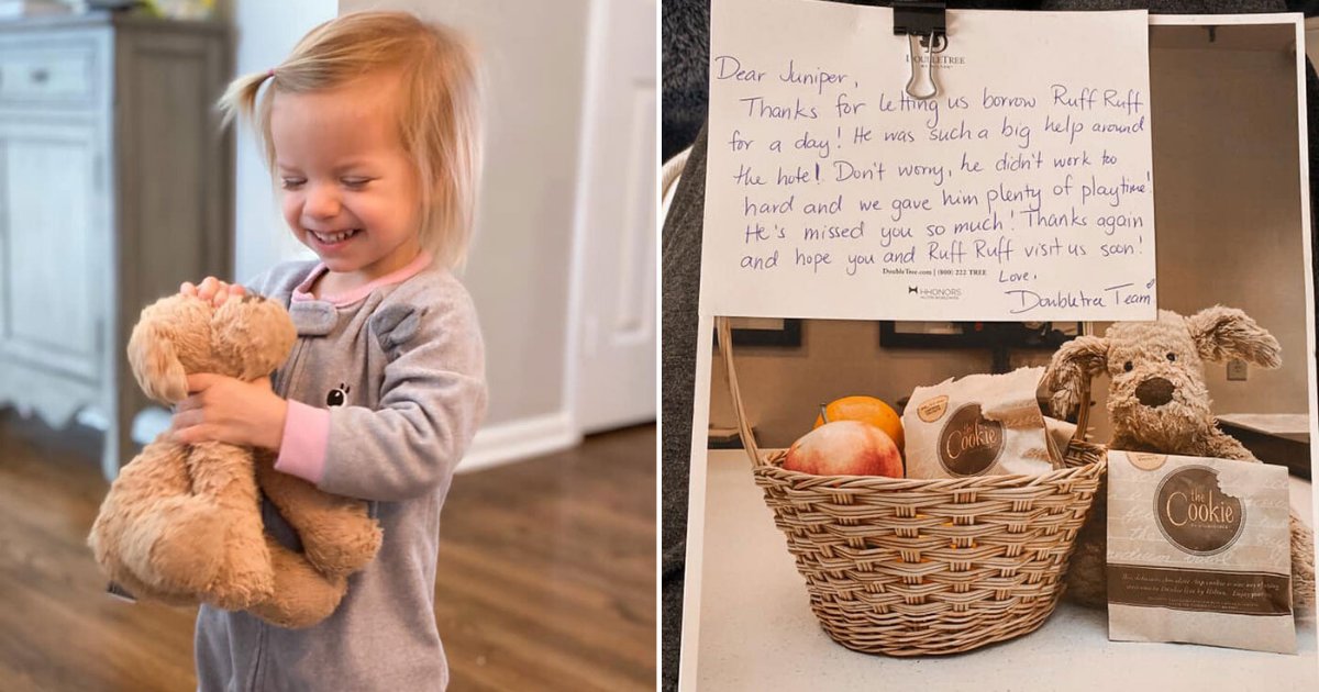 6 31.png?resize=412,275 - A 2-Year Old Girl Loses Her Favorite Stuffed Dog at The Hotel and The Staff Documented its Adventure Before Shipping it Back