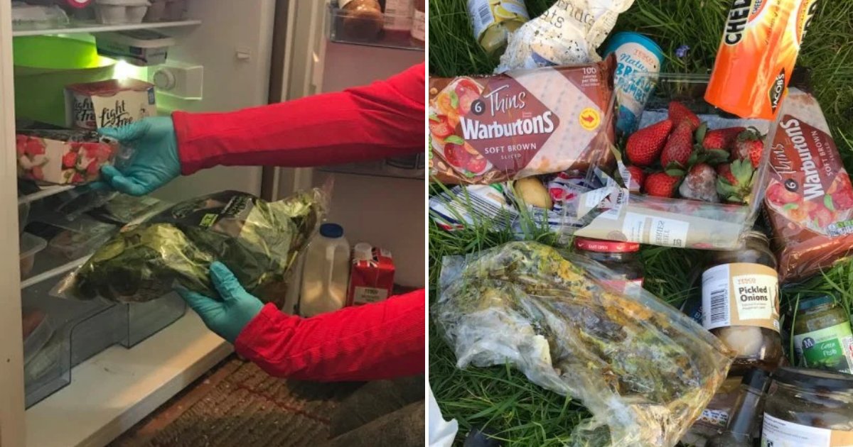 bin.png?resize=412,275 - Woman Who Stockpiled Fruits, Dozens Of Eggs, Meat And Veggies Had To Bin Most Of It