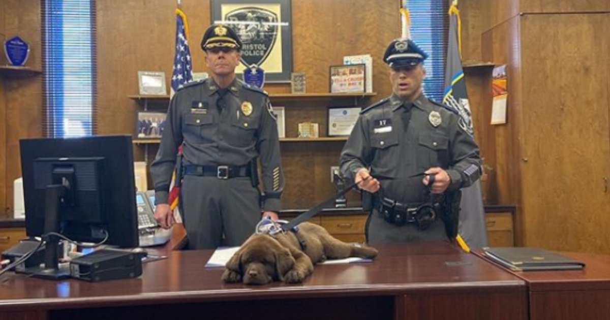 brody6.png?resize=412,275 - K-9 Officer Puppy Slept Through His Entire Swearing-In Ceremony