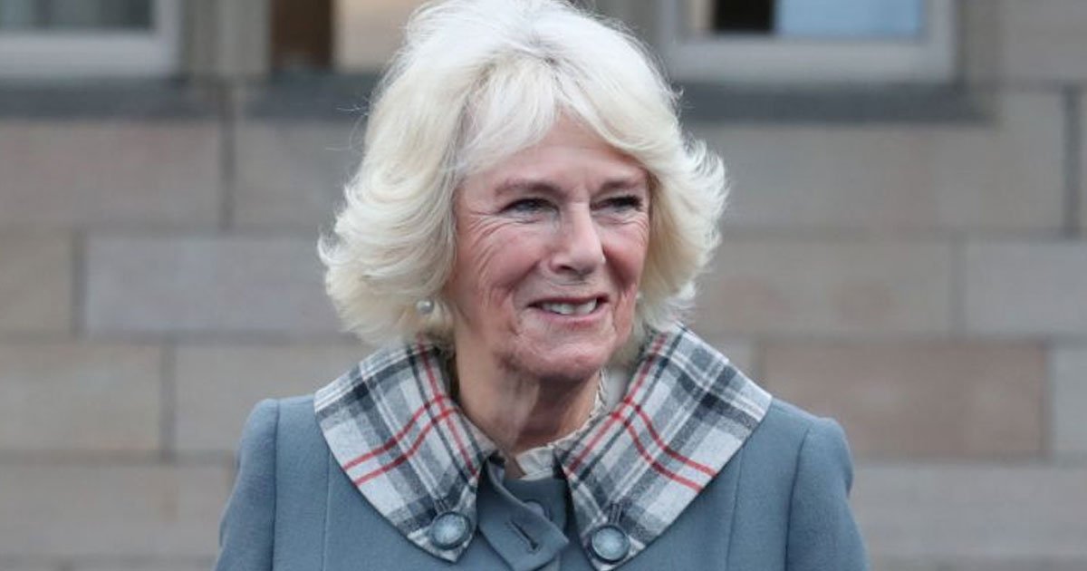 camilla duchess of cornwall taking ballet classes from past 18 months to stay active.jpg?resize=412,232 - Camilla, Duchess Of Cornwall, Has Been Taking Ballet Classes For Past 18 Months To Stay Active