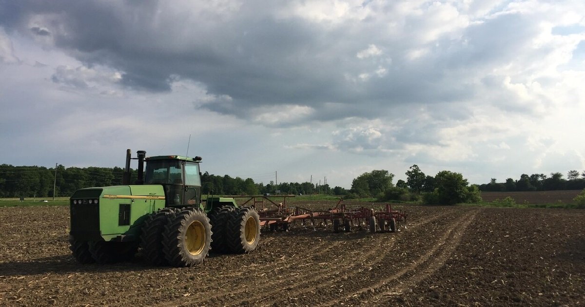 champ.jpg?resize=412,275 - Vidéo: Un agriculteur rend hommage aux soignants depuis ses champs