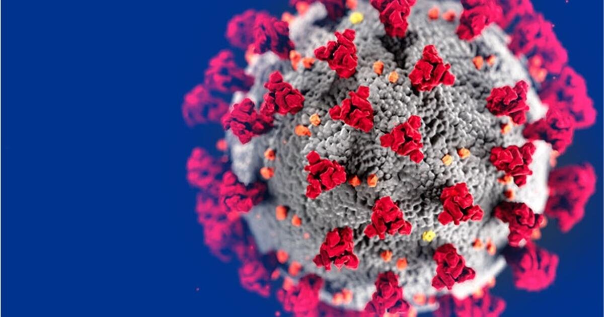 ec8db8eb84ac 16.jpg?resize=412,275 - Mutant Coronavirus Is Evolving, Rampaging In Two Forms In Australia