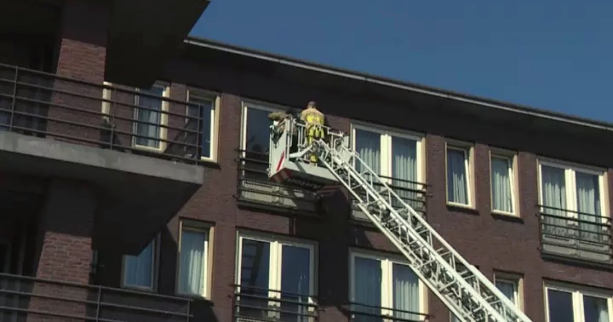 family5.png?resize=1200,630 - Firefighters Lifted Family To Fourth Floor Window So Dying Grandfather Can Say Goodbye And See Them One Last Time