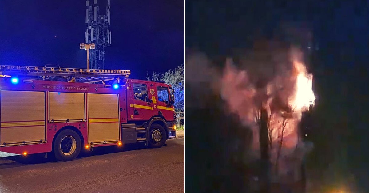 fire.png?resize=412,275 - People Are Burning 5G Masts Because Of Baseless Theories Claiming They Are Linked To Coronavirus
