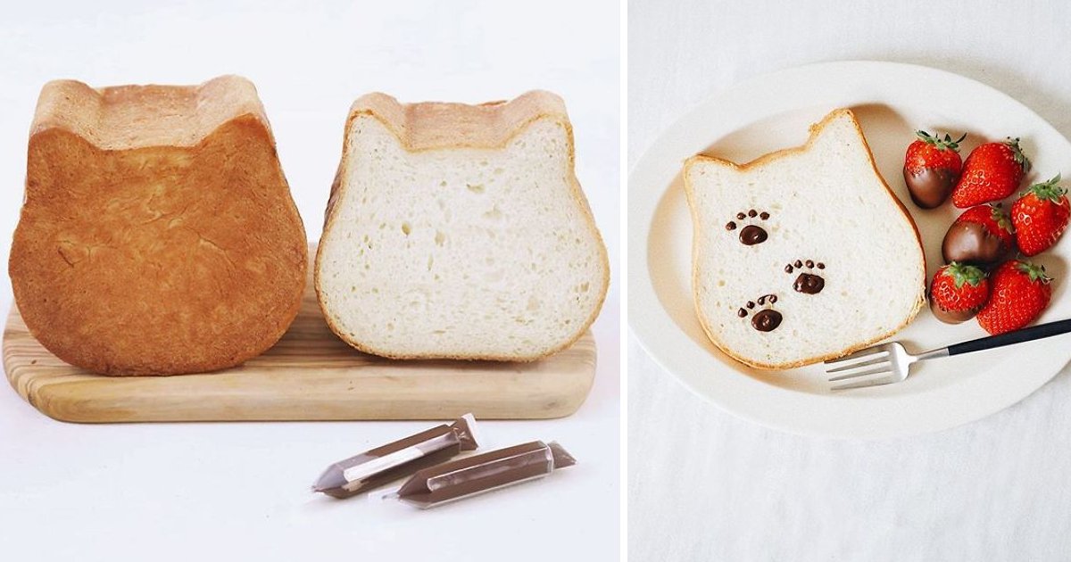 h.png?resize=1200,630 - A Bakery Introduced Cat-Shaped Bread – And It Is Absolutely Lovable
