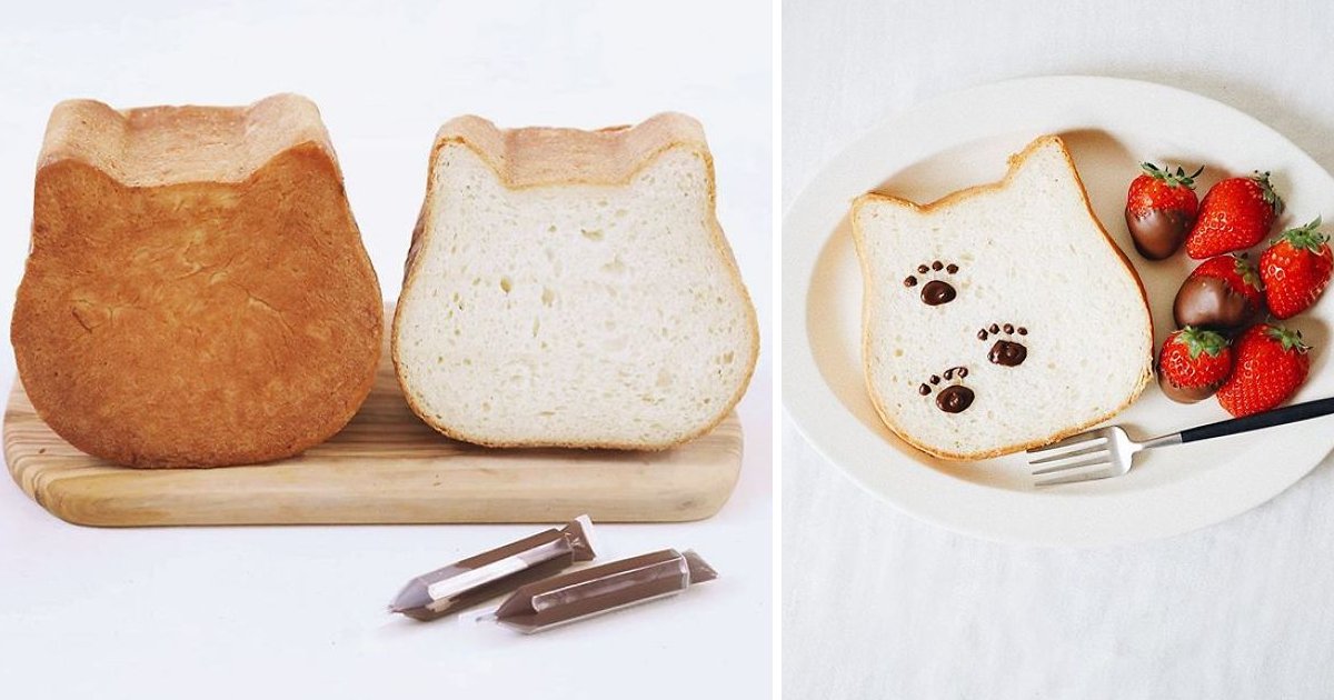 h.png?resize=412,275 - A Bakery Introduced Cat-Shaped Bread – And It Is Absolutely Lovable