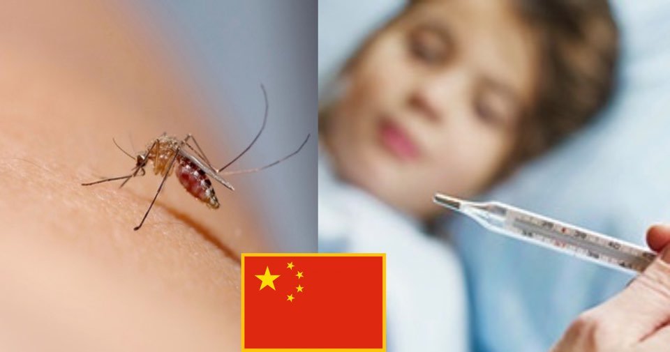 kakaotalk 20200429 022517406.jpg?resize=1200,630 - 코로나 끝나가는 중국에서 이젠 '모기 말라리아' 전염병이 돌기 시작했다