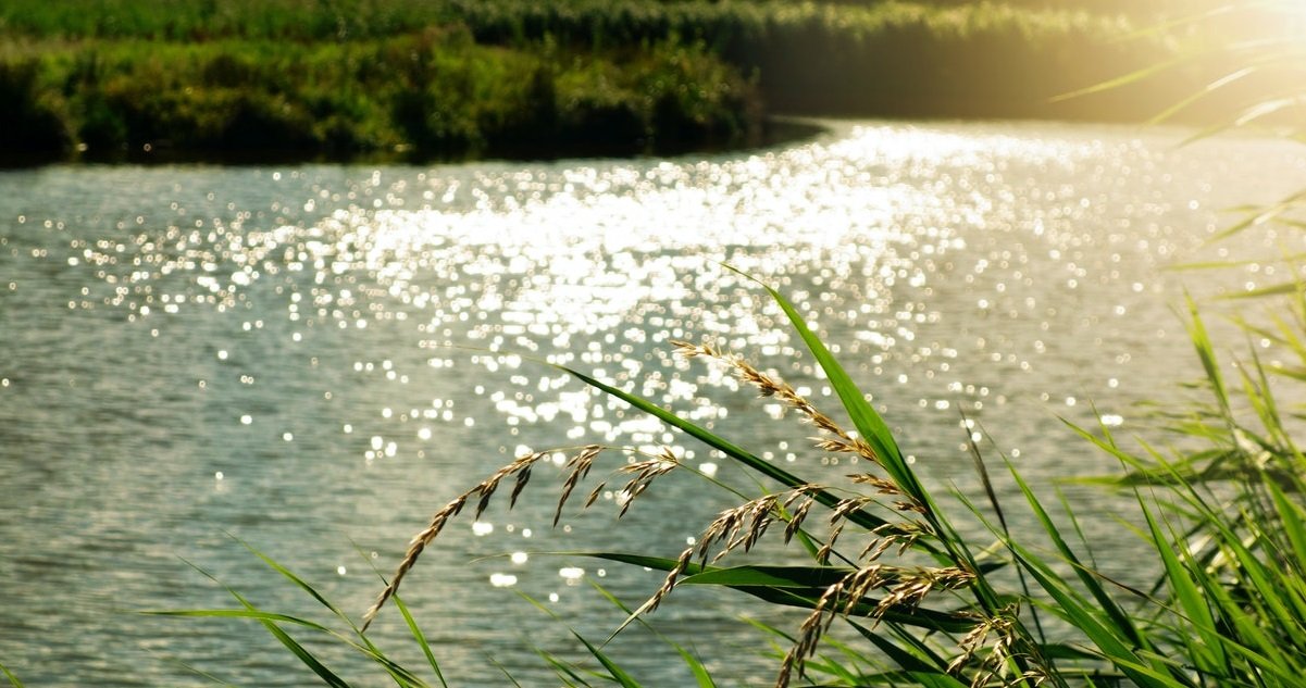 light nature sky water 133682.jpg?resize=412,275 - Une fillette 18 mois a été retrouvée morte dans une rivière de Seine-Maritime