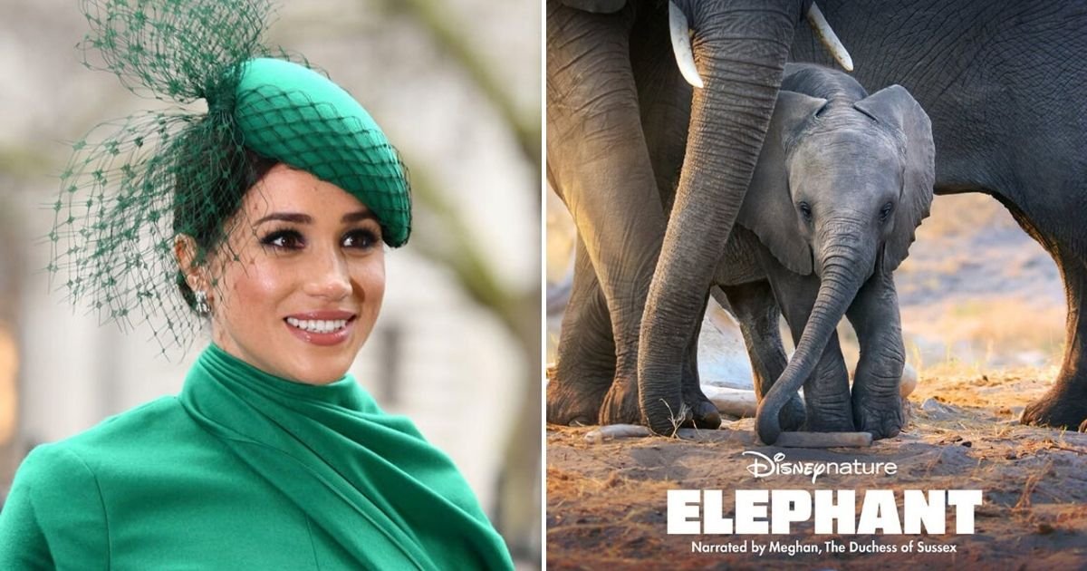 meg5.jpg?resize=1200,630 - Meghan Markle Says She 'Understands' Elephants In An Interview Promoting New Disney Documentary