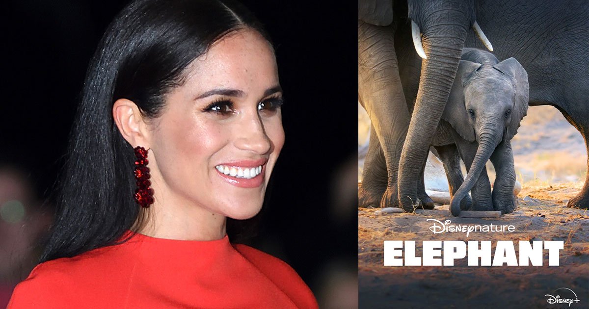 meghan markle talked about her first post royal voiceover gig voicing the disneynature documentary elephant.jpg?resize=1200,630 - Meghan Markle Talked About Her First Post-Royal Gig Voicing The Disney Nature Documentary 'Elephant'