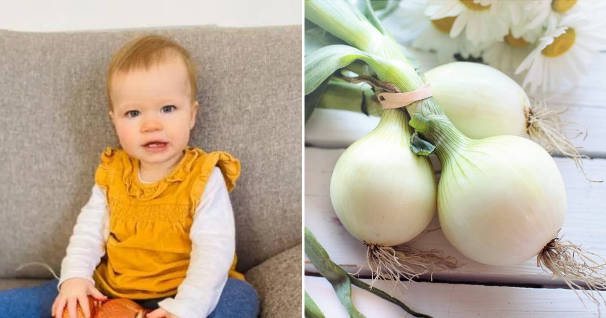 onions5.png?resize=1200,630 - Adorable 1-Year-Old Girl Playing With Her Dad's Phone Accidentally Spent $25 On ONIONS