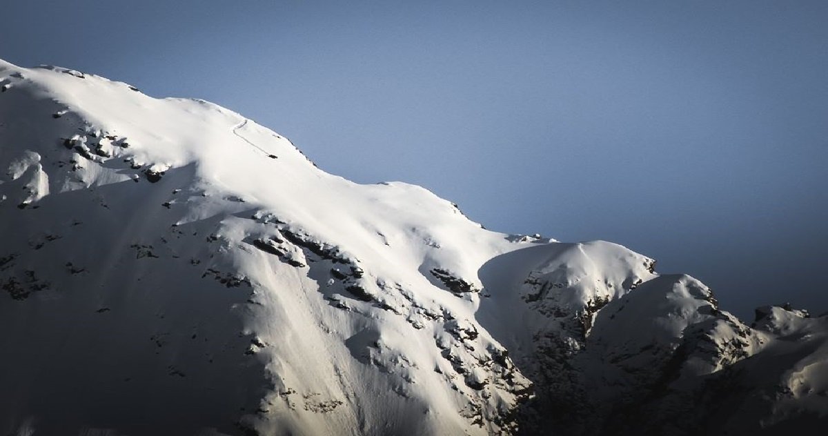 ours 4.jpg?resize=412,275 - Nature: les clichés de cet ours à 2.800 mètres d'altitude dans le Pyrénées sont à couper le souffle !