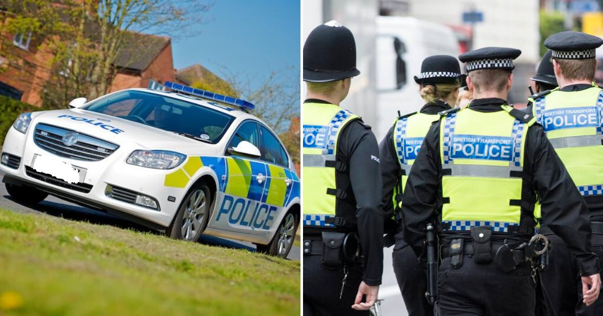 pig3.png?resize=412,275 - Policewoman Left In Tears After Discovering A Pig's Head On The Windscreen Of Her Car