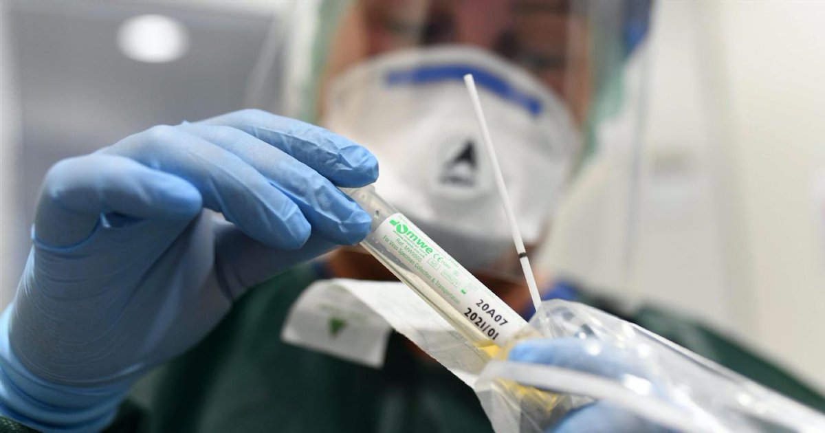 test depistage coronavirus.png?resize=1200,630 - Covid-19 : Des tests de dépistage destinés au Royaume-Uni sont contaminés par le coronavirus