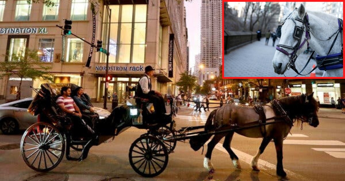 untitled design 1 26.png?resize=1200,630 - Horse Drawn Carriages Have Been Banned In Chicago