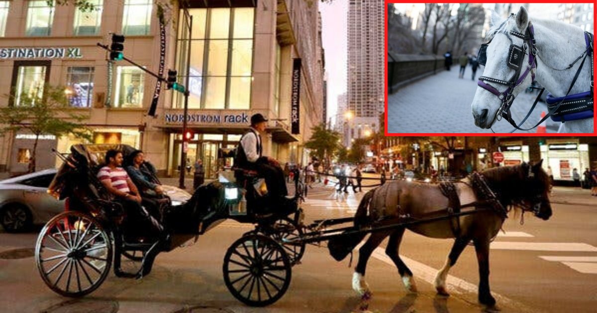 untitled design 1 26.png?resize=412,275 - Horse Drawn Carriages Have Been Banned In Chicago