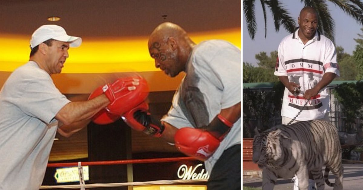 untitled design 3 3.png?resize=412,275 - Former Trainer Of Mike Tyson Claimed The Boxer Locked Him Inside The Cage With His Tigers
