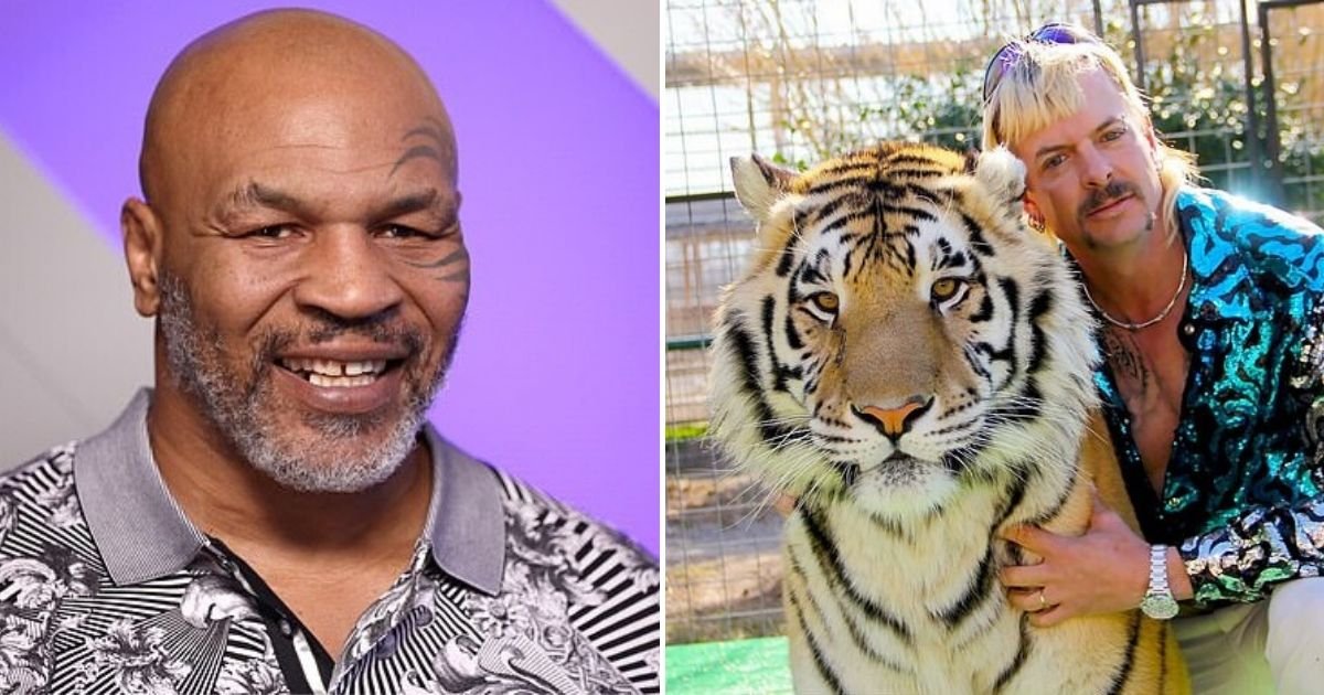 untitled design 35.jpg?resize=412,275 - Mike Tyson Said His Tigers May Have Been Supplied By Joe Exotic