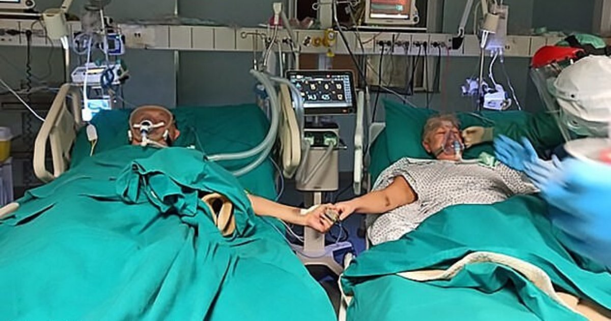 untitled design 45.png?resize=412,275 - Senior Couple Suffering From COVID-19 Celebrated Golden Wedding Anniversary In ICU