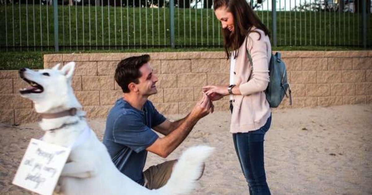 untitled design 6 3.png?resize=412,275 - Dog Tasked To Deliver Proposal Message Started Chasing Seagulls Instead