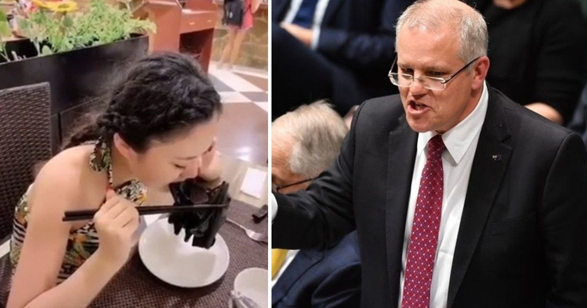 whatsapp image 2020 04 06 at 1 25 44 pm.jpeg?resize=1200,630 - Scott Morrison Urges UN To Ban China's Wet Markets As COVID-19 Cases In Australia Reached 5315