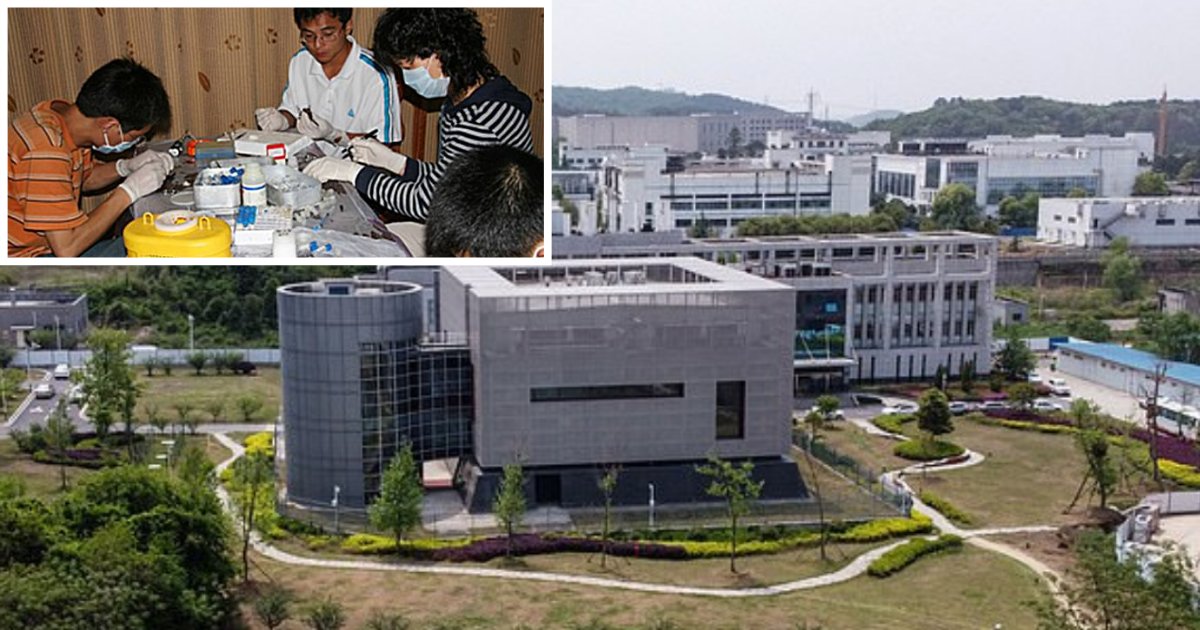 1 10.png?resize=412,275 - Photos of Scientists Testing Samples of Bats With Minimal Protection From Wuhan Virus Lab Went Viral