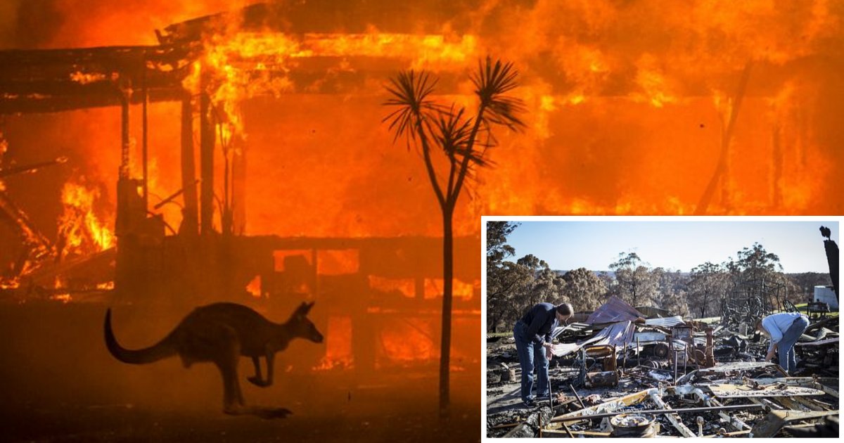 1 13.png?resize=1200,630 - $200 Million Worth of Donation for Bushfire Victims Have Not Reached Them Yet Even After 2 Months