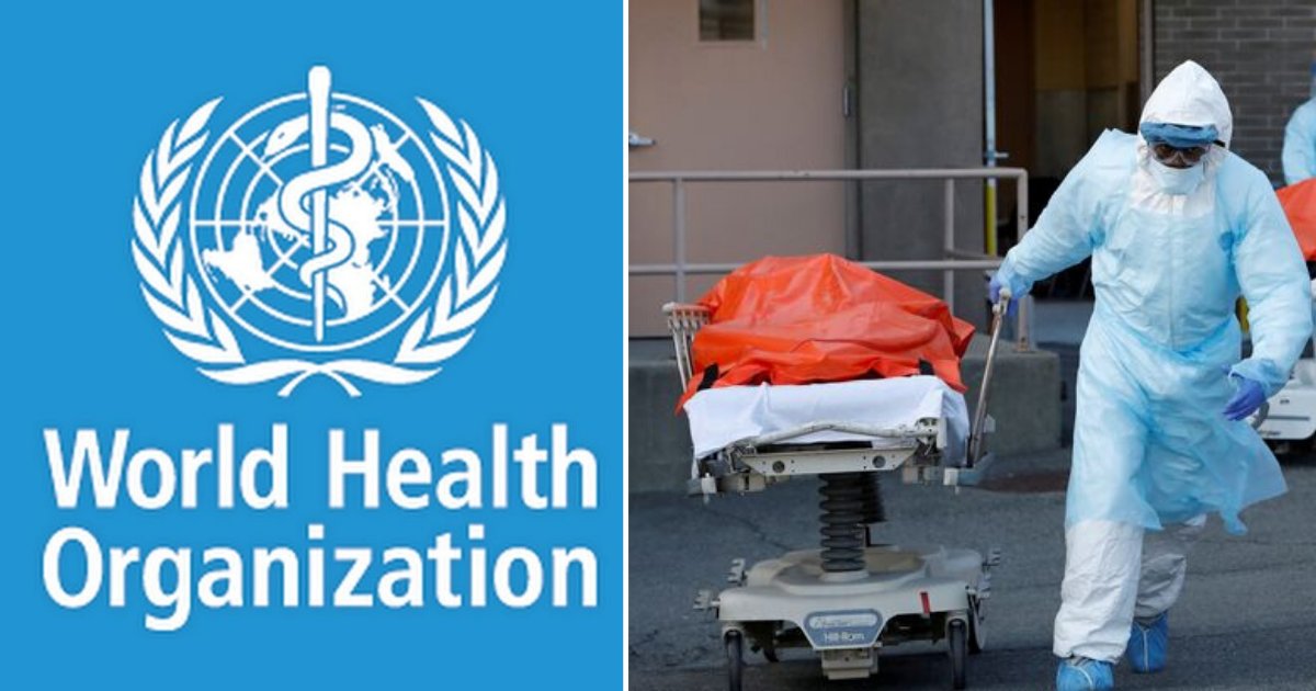 1 6.png?resize=412,232 - At its Deadliest 24 Hours, The US witnessed 2,909 Deaths Due to COVID-19