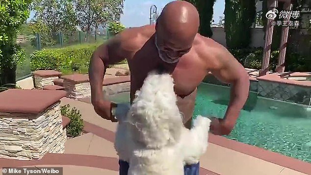 His canine: The athlete was also seen playing with his fluffy white dog by the pool