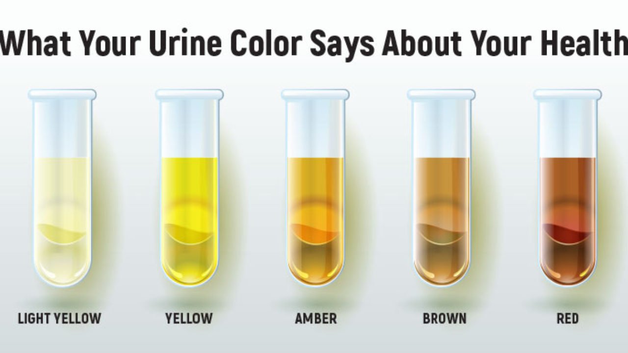Healthy urine color differences
