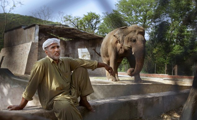 Pakistani caretaker Mohammad Jalal sits next to Kaavan the elephant at Marghazar Zoo in Islamabad