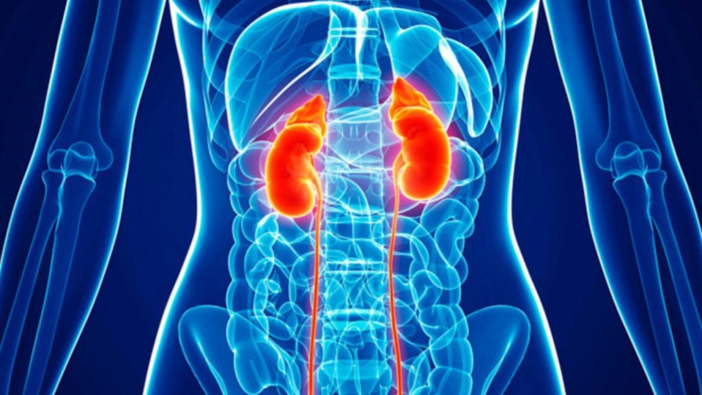 Kidney disease