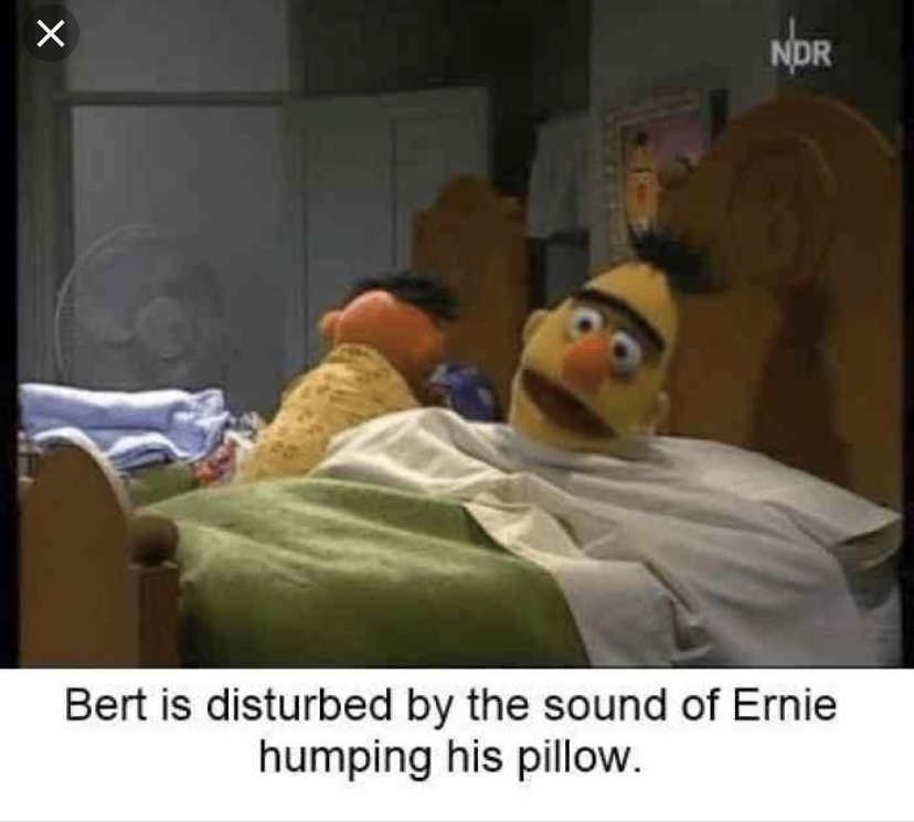 Bert And Ernie Dark Jokes Sesame Street Memes Dark Humor Jokes Images   2150507 5d2fc091c70e9 1590587386 