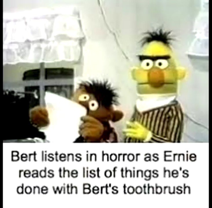 Bert and Ernie memes