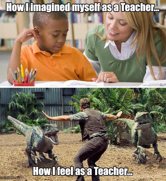 Funny Teacher Memes 