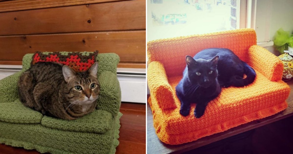 3 2.png?resize=1200,630 - Getting Bored During Lockdown? Try Out The Latest Tiny Crochet Couch For Cats Trend