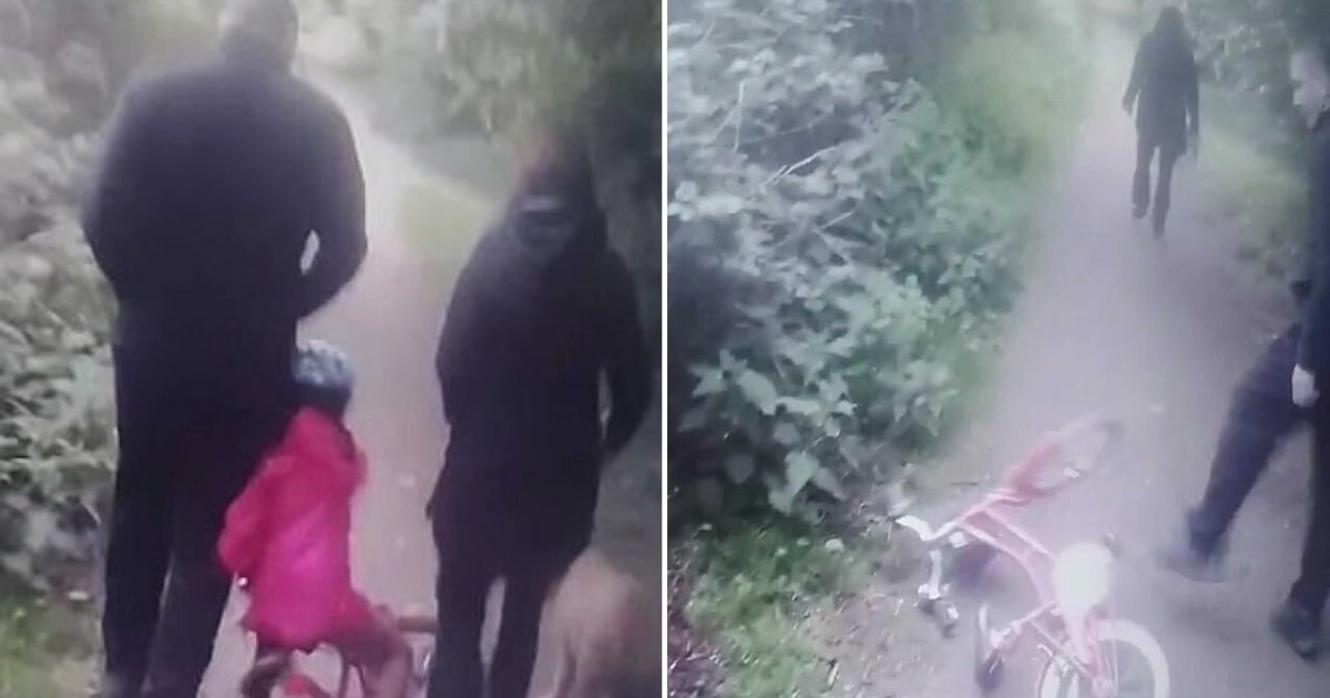 3 30.png?resize=1200,630 - 6 Year Old Girl Falls Down From Her Bike After Dogwalking Couple Refuse To Give Her Way