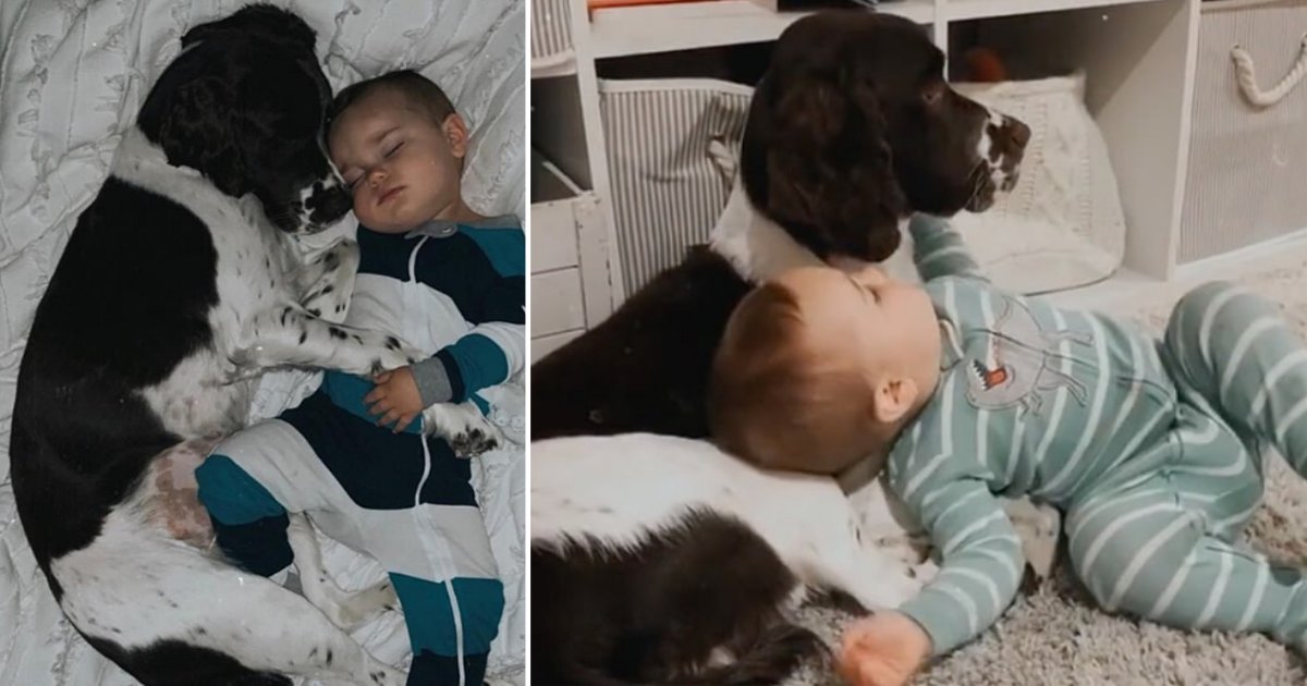 3 7.png?resize=1200,630 - 1-Year Old Boy And His Best 'Dog' Friend Share A Sweet Bond As They Cuddle In Bed Together